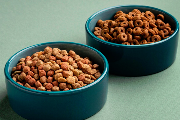 Veterinary Diets for Dogs and Cats