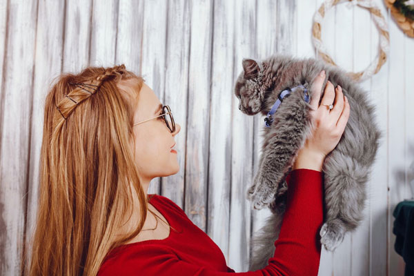 How to Talk to Cats (and Are They Really Listening?)
